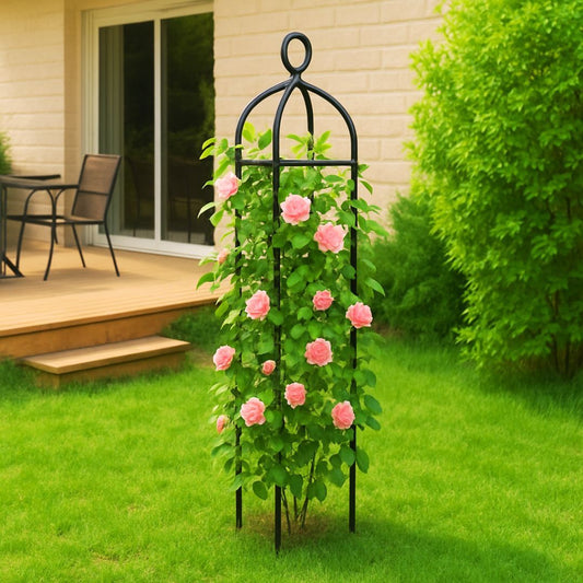 treillis-pour-plantes-grimpantes